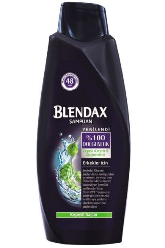 BLENDAX ŞAMPUAN ERKEKLER İÇİN KEPEĞE KARŞI ETKİLİ 470 ML. ürün görseli