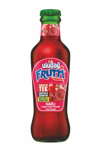 ULUDAĞ FRUTTI SODA NARLI 200 ML. ürün görseli