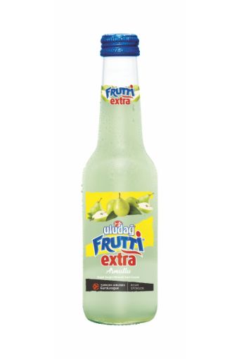 ULUDAĞ FRUTTI SODA EXTRA ARMUTLU 250 ML. ürün görseli