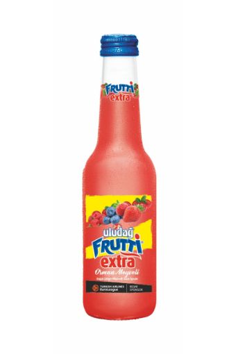 ULUDAĞ FRUTTI SODA EXTRA ORMAN MEYVELİ 250 ML. ürün görseli