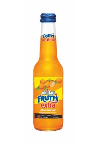 ULUDAĞ FRUTTI SODA EXTRA MANDALİNALI 250 ML. ürün görseli